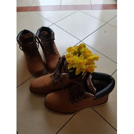 Meeresbrise Appartement Karlshagen